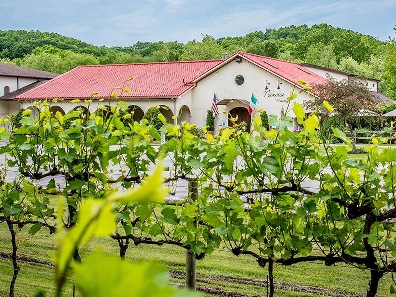Picture of Narcisi Winery