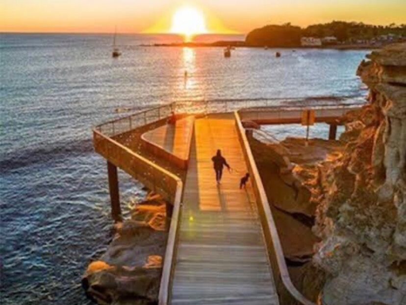 Picture of Terrigal Boardwalk