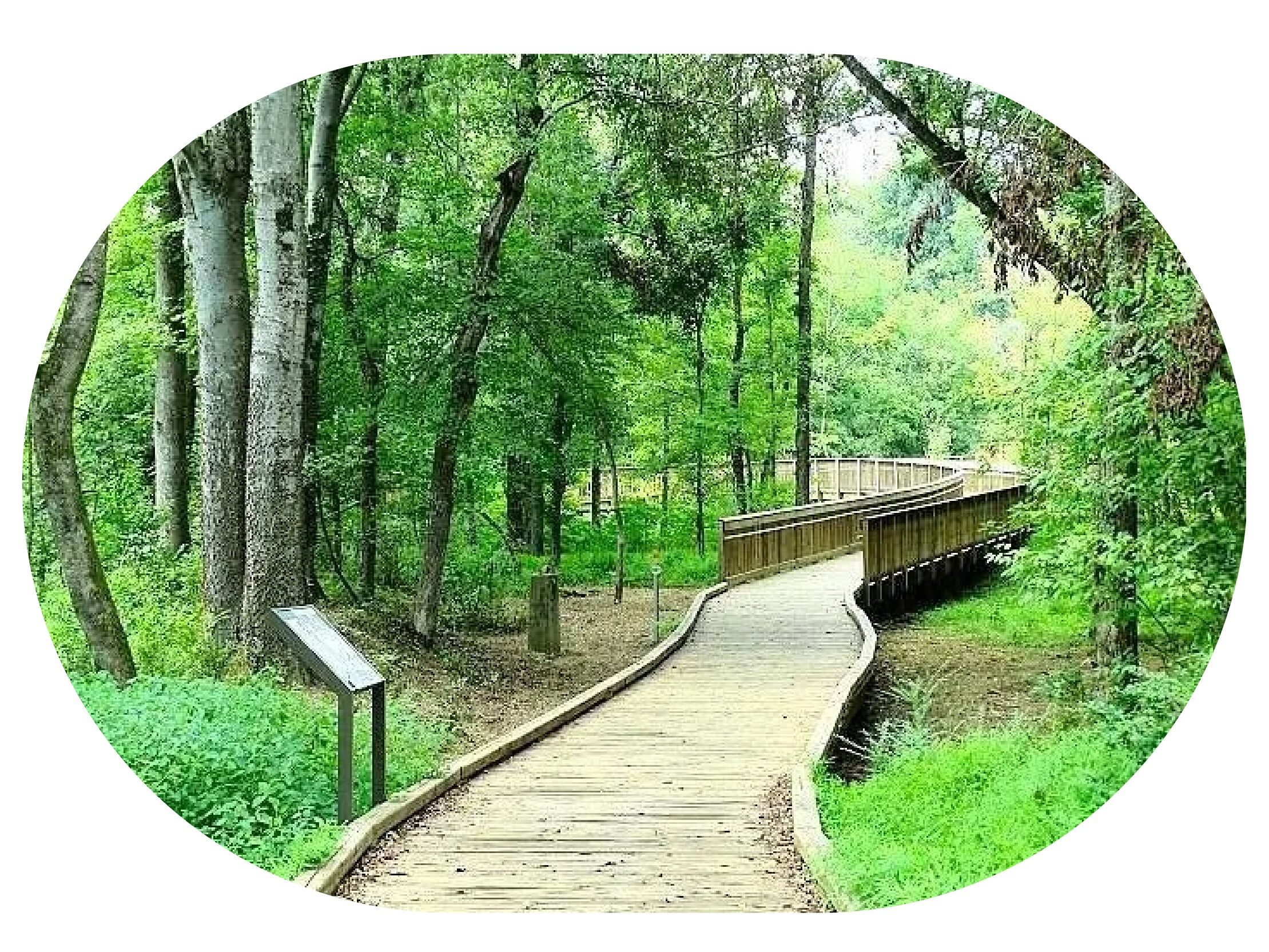 Picture of Hillsborough River Walk