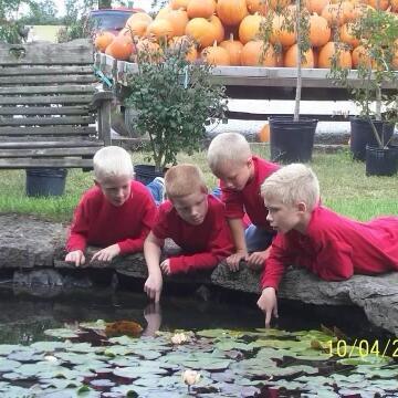 Jacob, Logan and Brady Potter