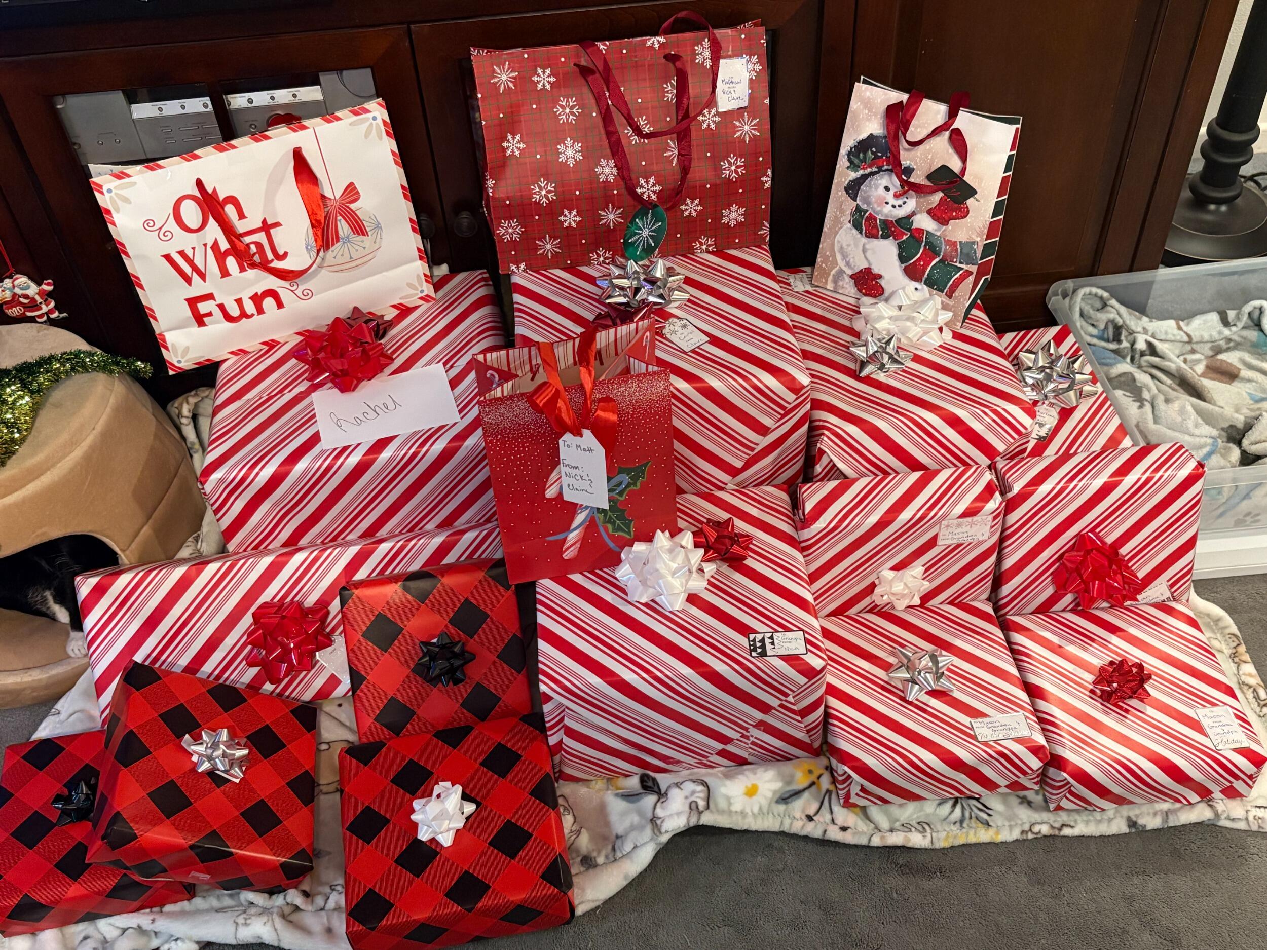 For Christmas we celebrated with Nick's family. I have always loved wrapping gifts, and had wrapped them for this year. We had built the pink rose bouquet Lego set together as well as built a gingerbread house together. 