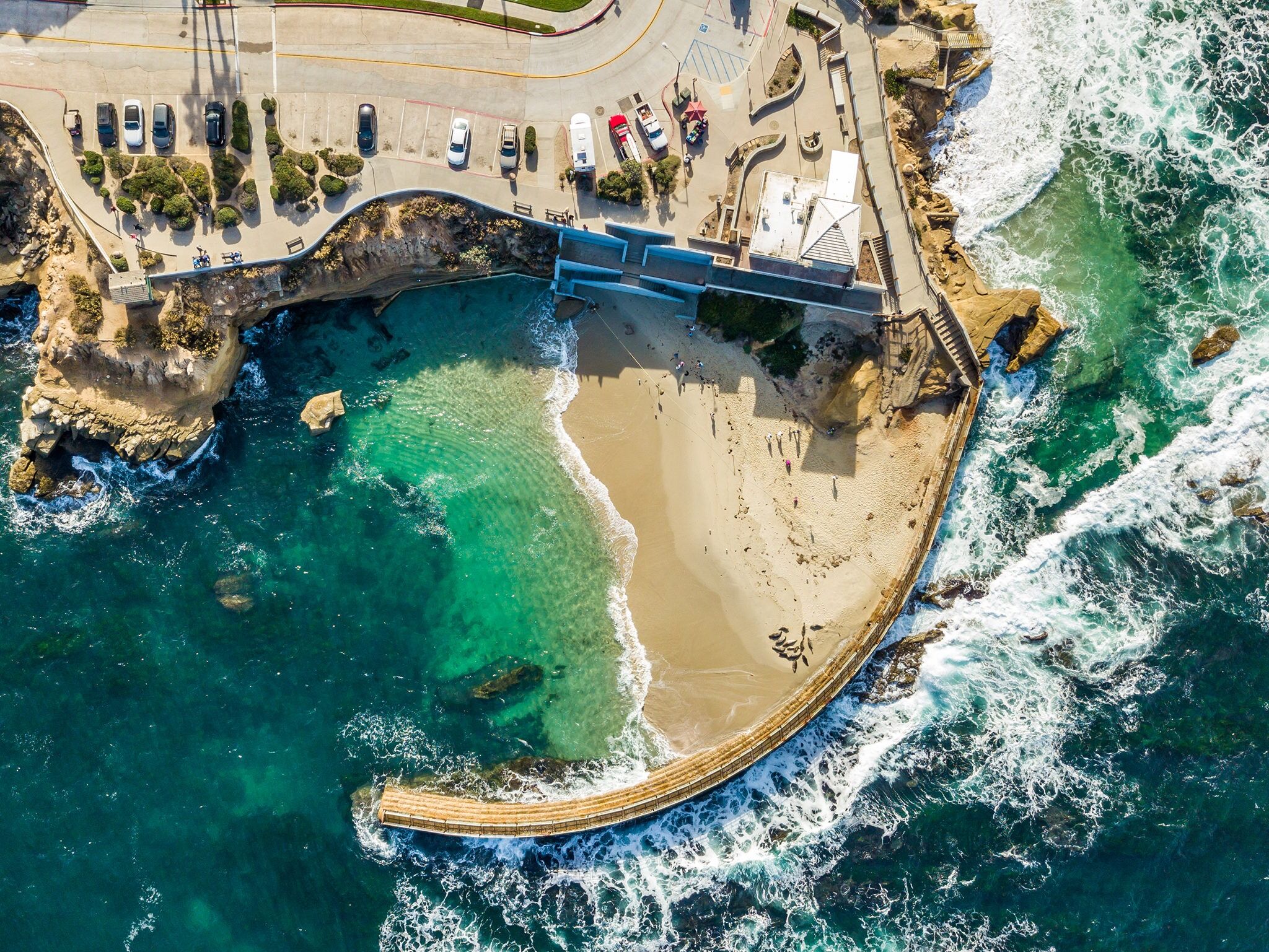 Picture of Lifeguard La Jolla Cove
