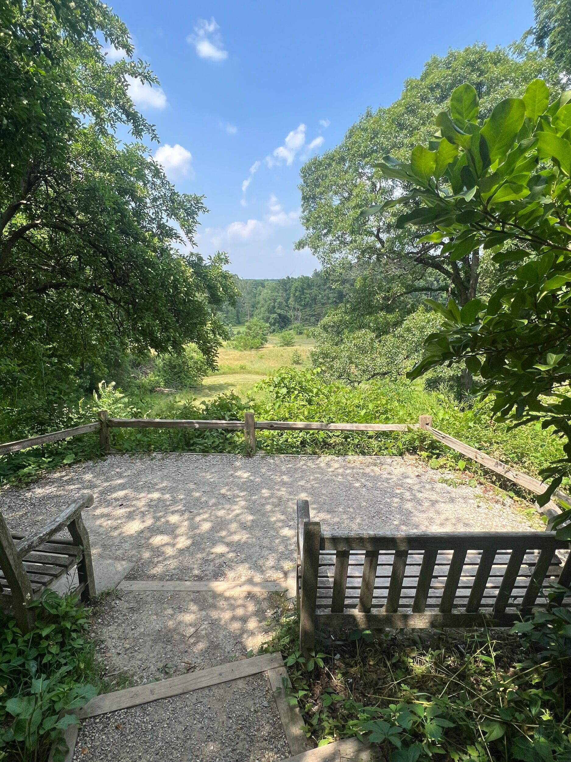 Picture of University of Michigan Nichols Arboretum