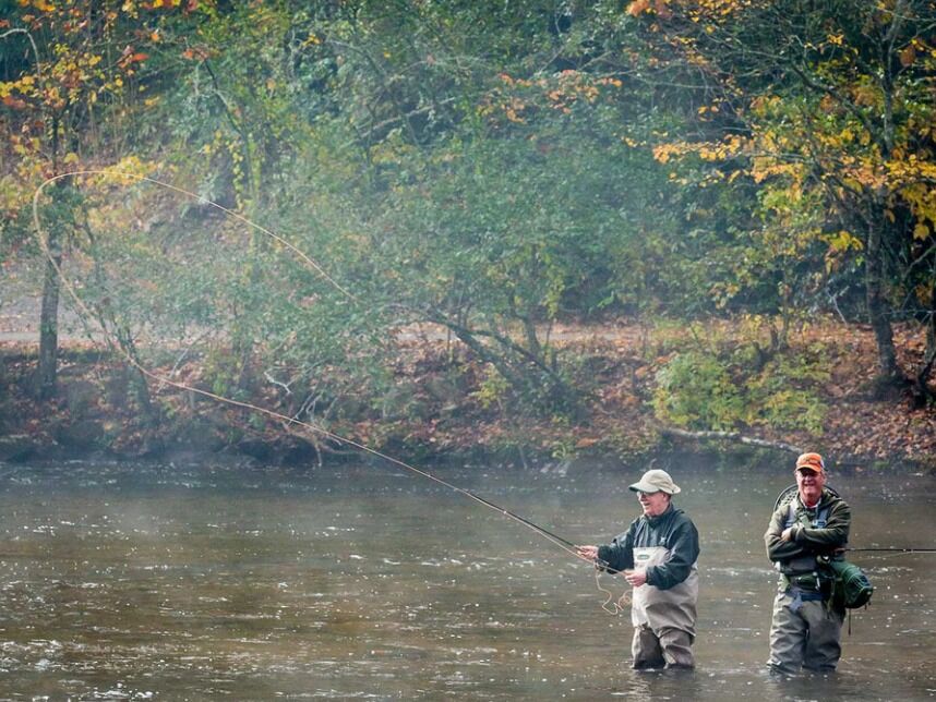 Picture of Fly Fishing 