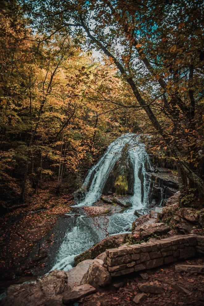 Picture of Roaring Run Loop Trail