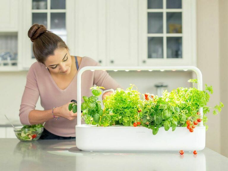 Click and Grow smart indoor herb and vegetable garden gift for wife