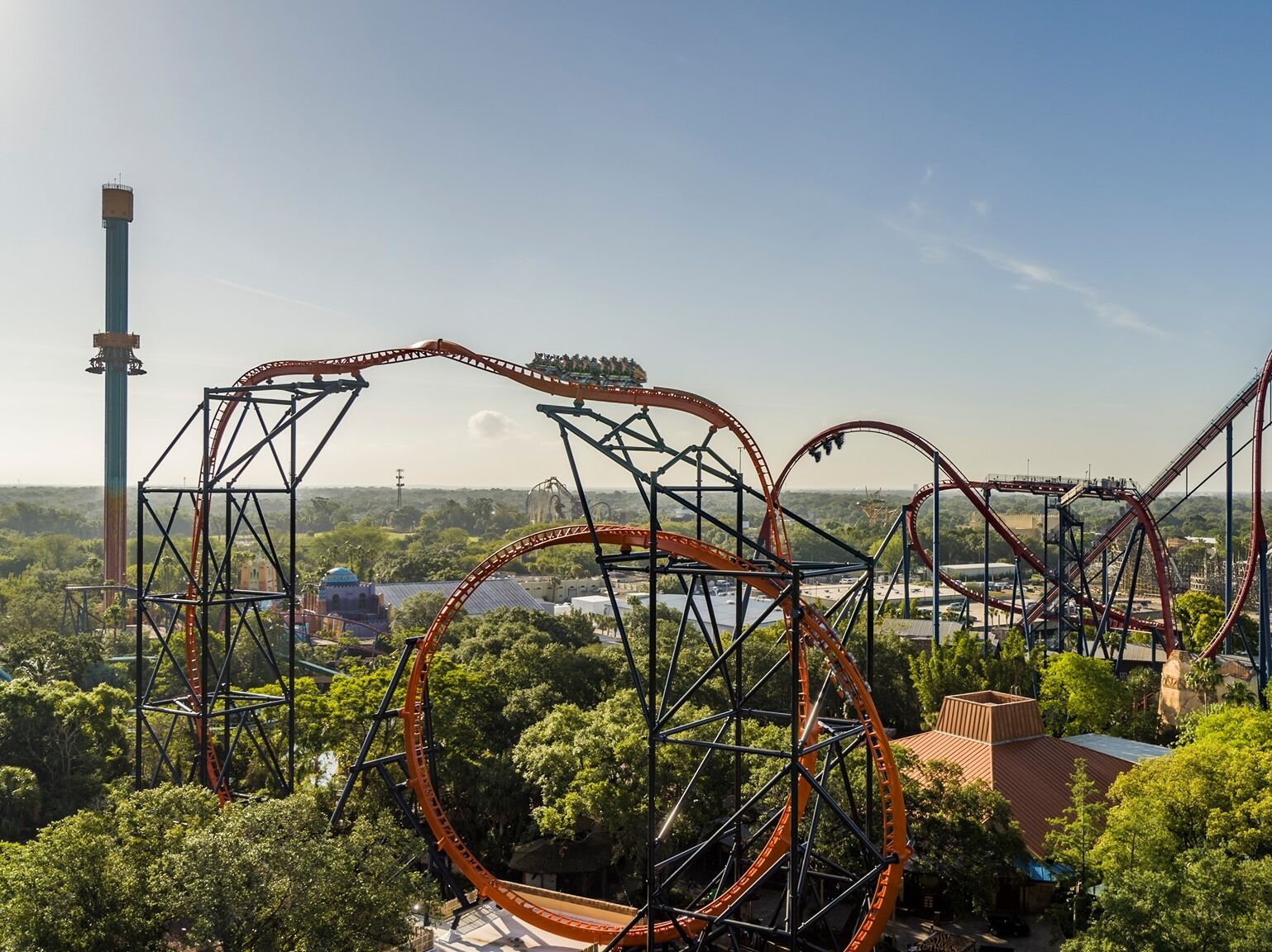 Picture of Busch Gardens Tampa Bay