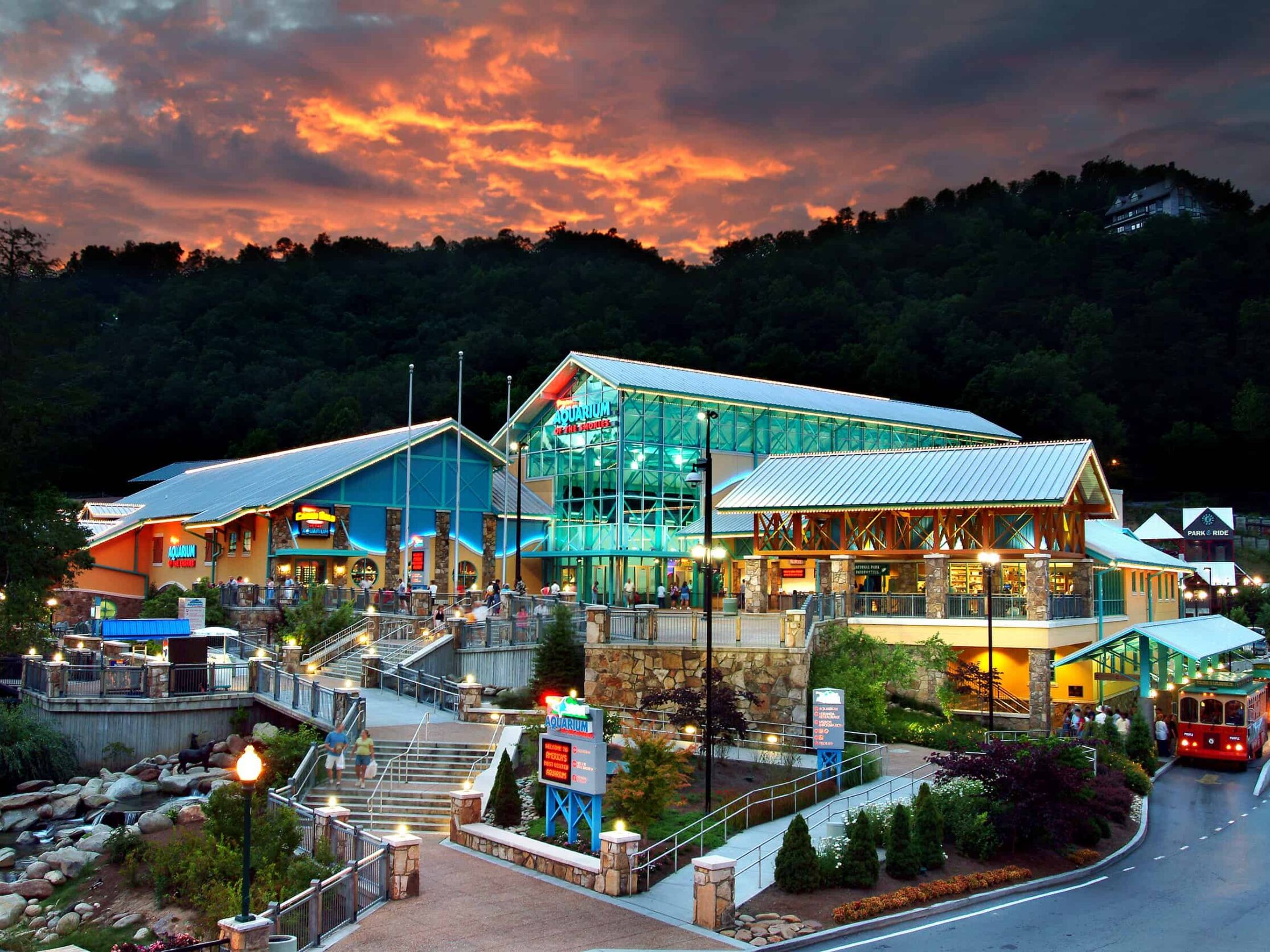 Picture of Ripley's Aquarium of the Smokies