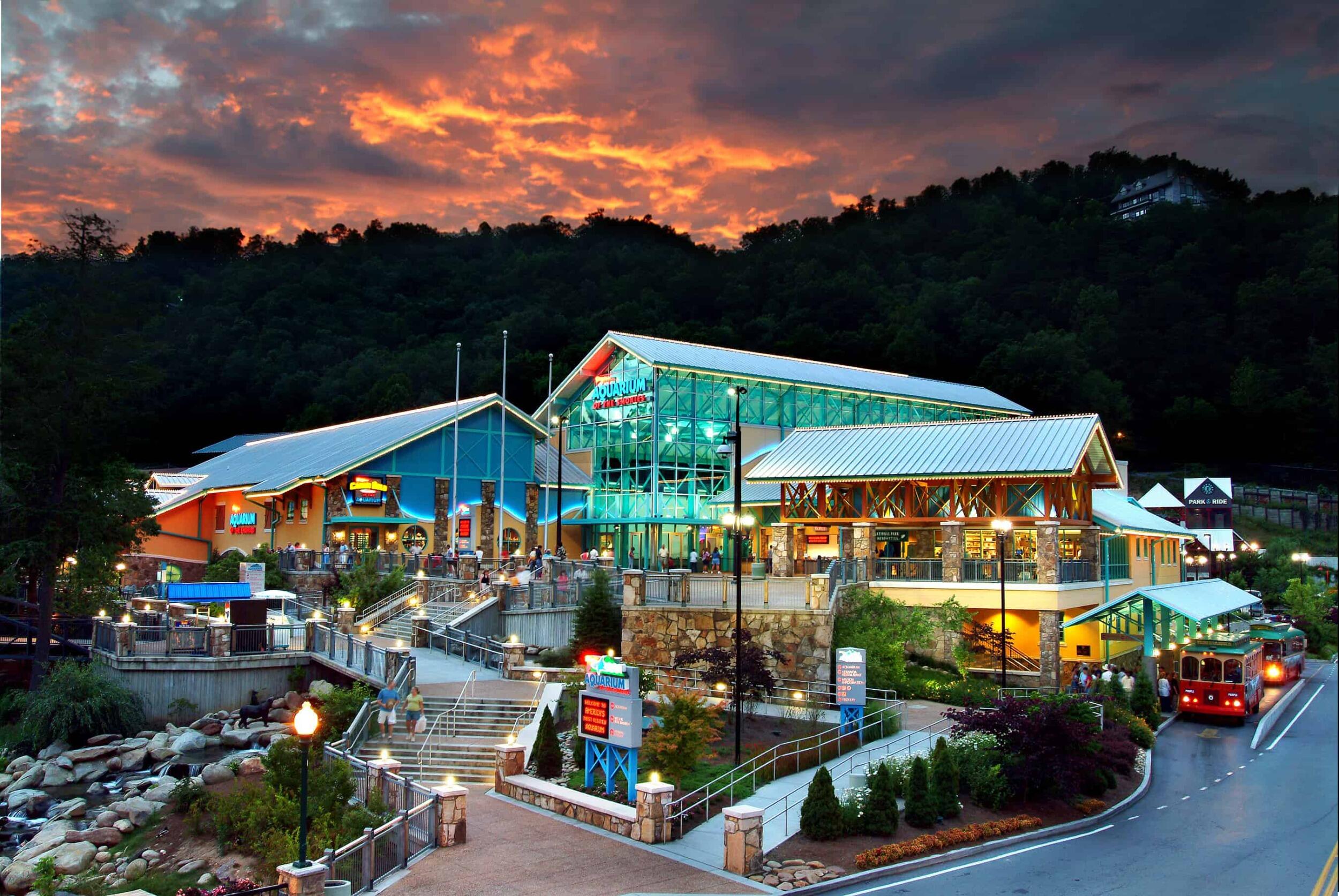 Picture of Ripley's Aquarium of the Smokies