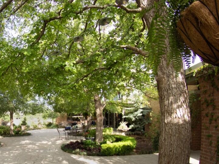 Picture of Amarillo Botanical Gardens