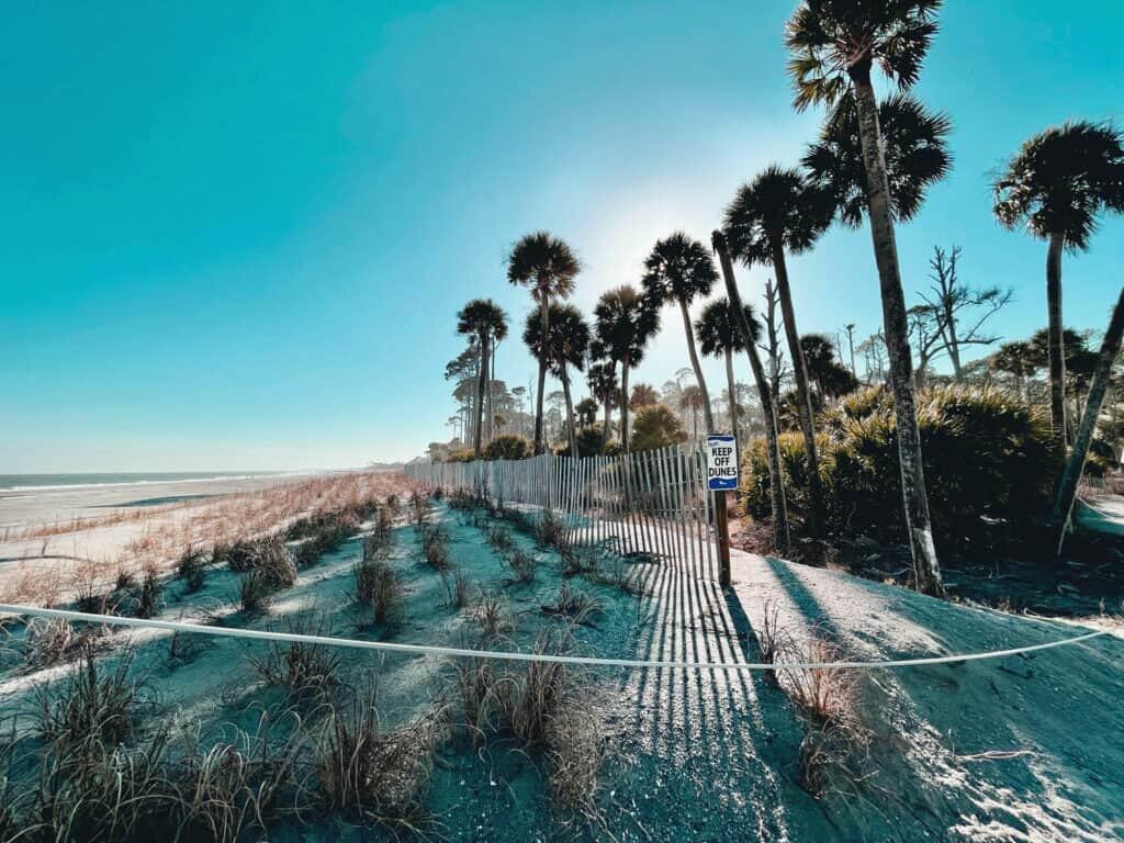 Picture of Hunting Island State Park