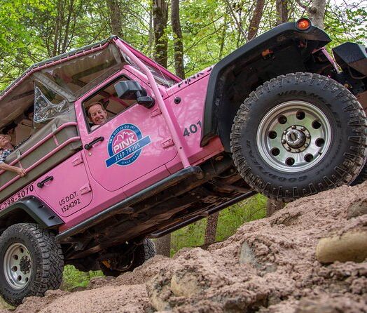 Picture of Smoky Mountains Pink Jeep Tours
