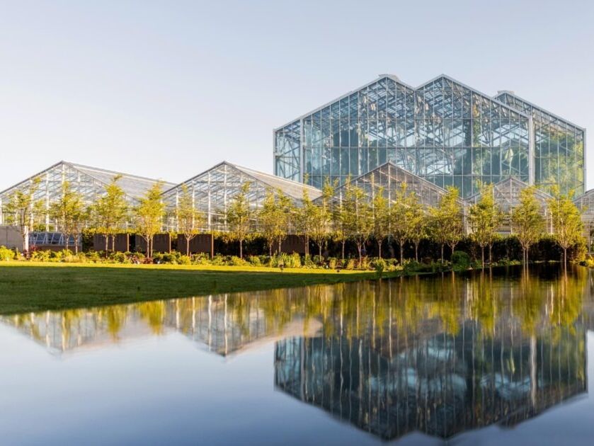 Picture of Frederik Meijer Gardens & Sculpture Park