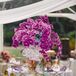 Waterfall Orchid Centerpieces