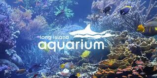 Picture of Long Island Aquarium