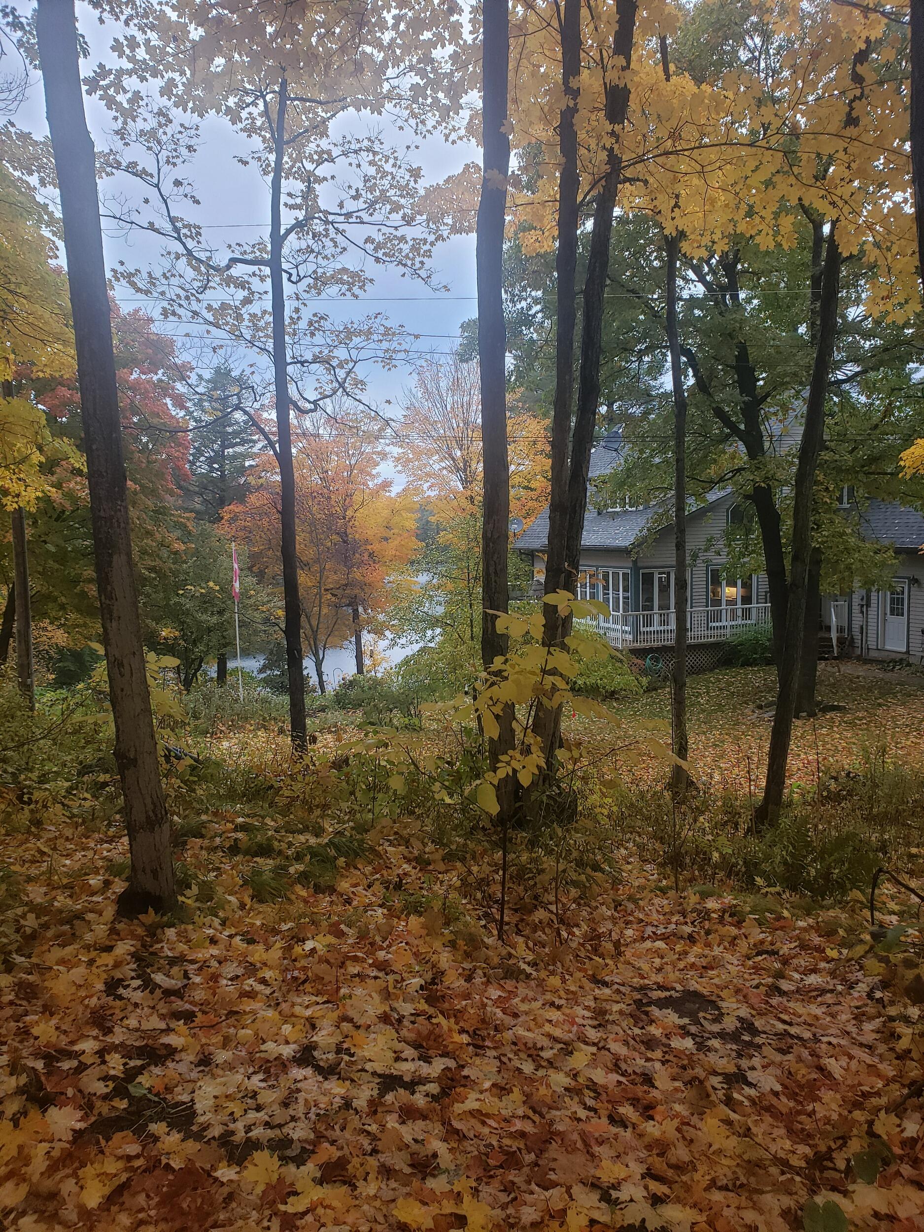11:30pm -  2:00am - Post-reception bonfire at the Cottrell Cottage. Whiskey, glizzies, and music included, at least one brother in the lake, guaranteed
Address: 514 Christie Lake Lane 51A. 