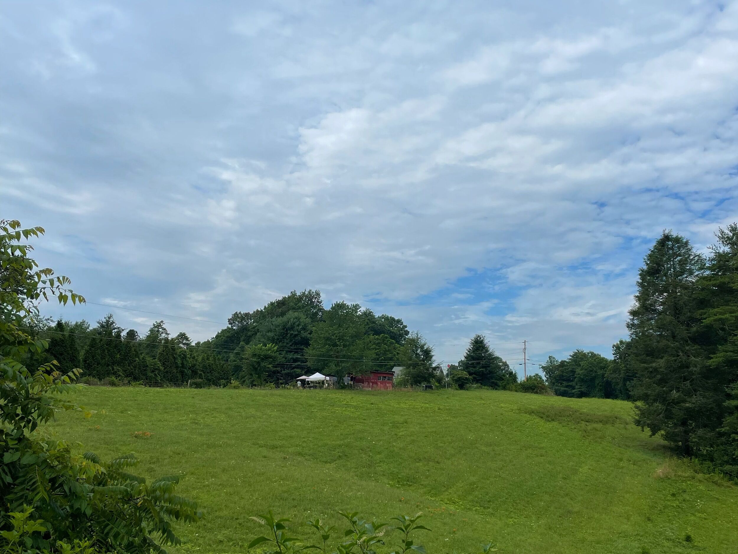 Picture of Flat Creek Plant Farm