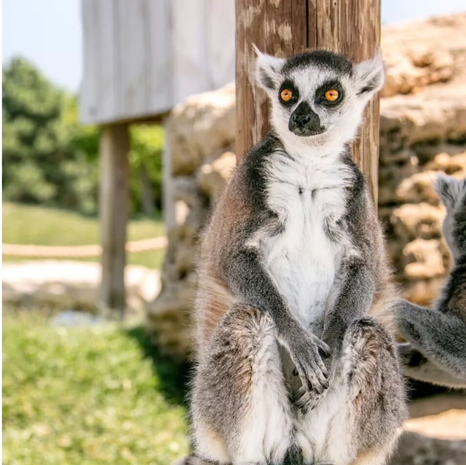 Picture of Sedgwick County Zoo