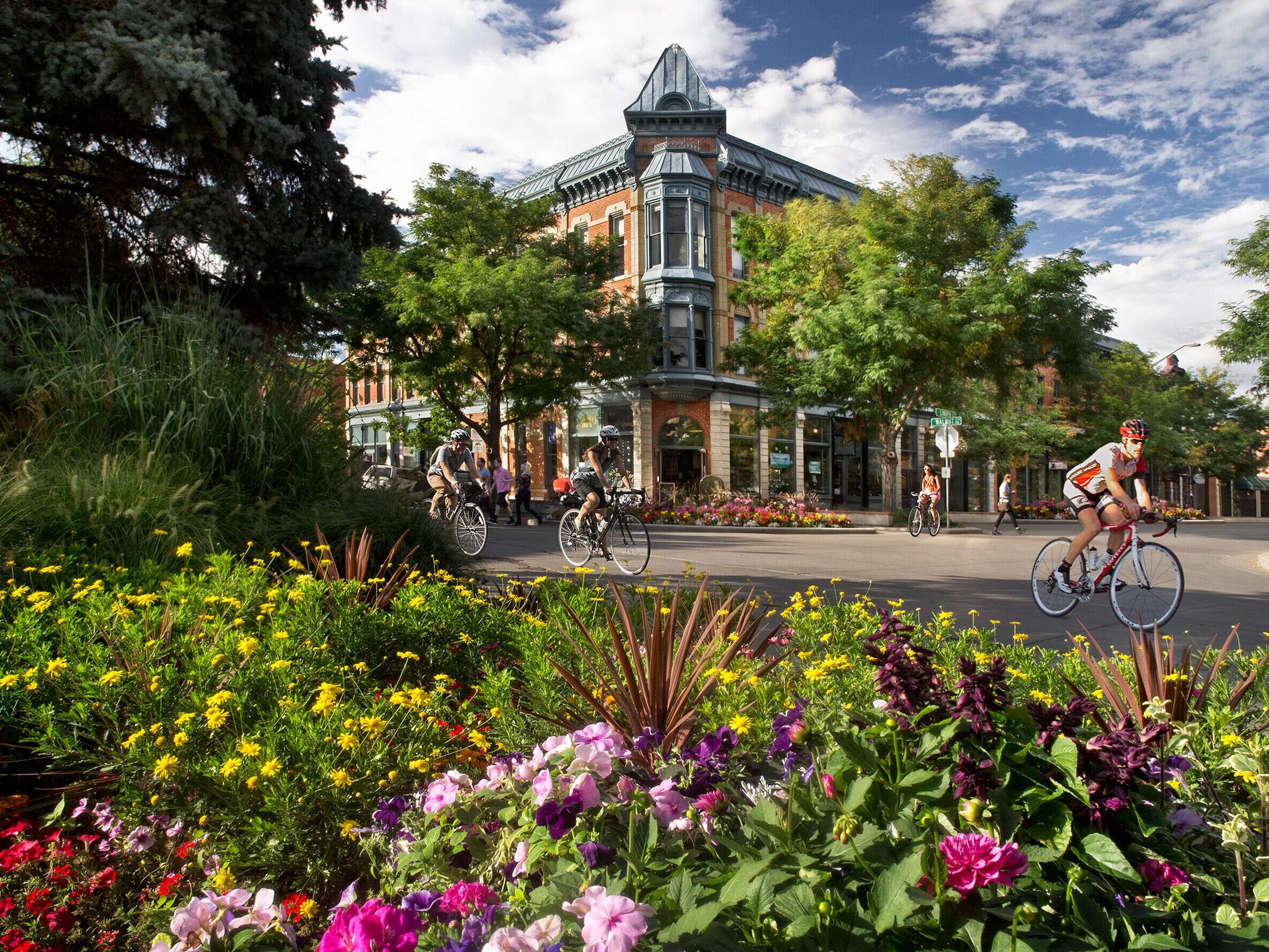 Picture of Downtown Fort Collins
