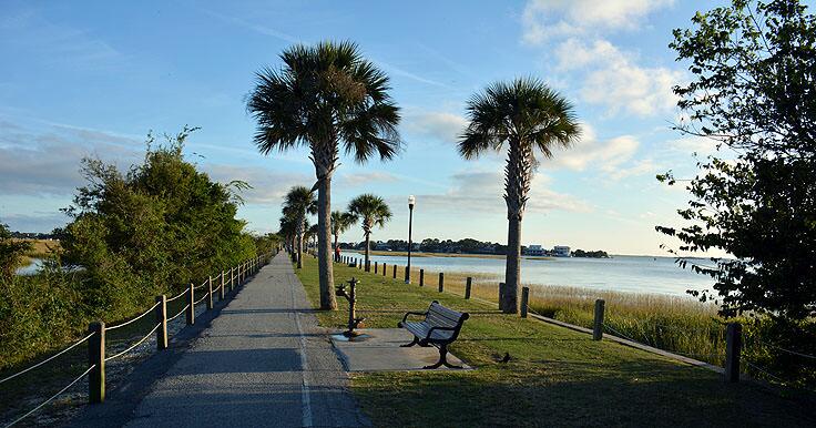 Picture of Pitt Street Bridge