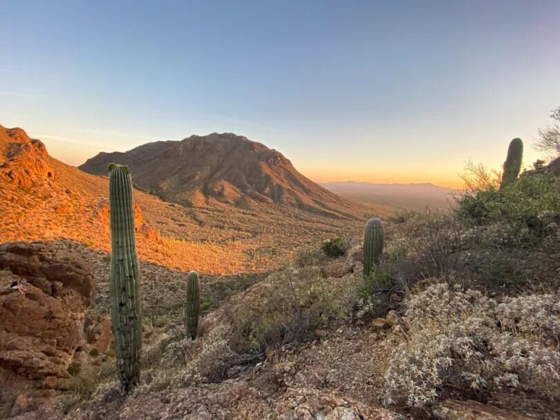 Picture of Gates Pass Scenic Lookout