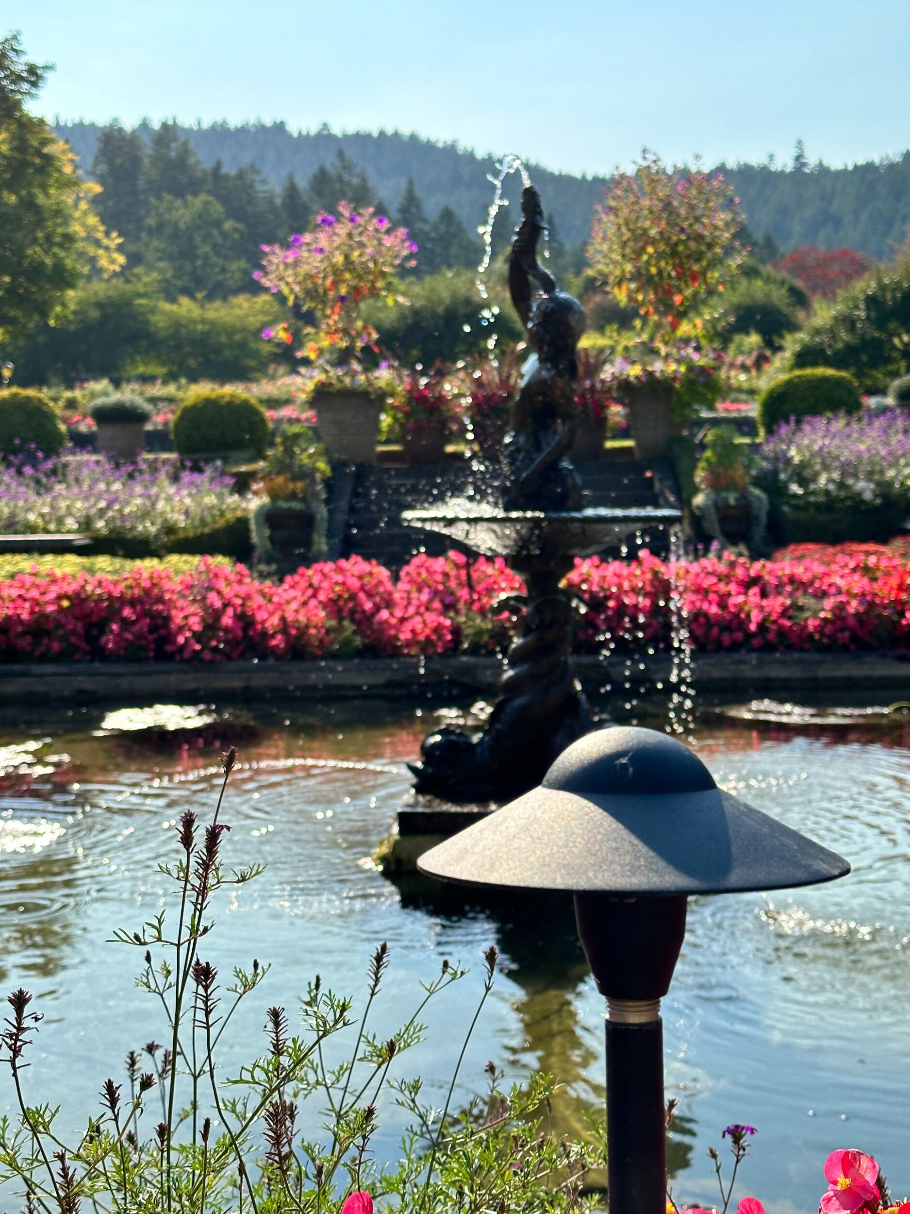 Picture of The Butchart Gardens