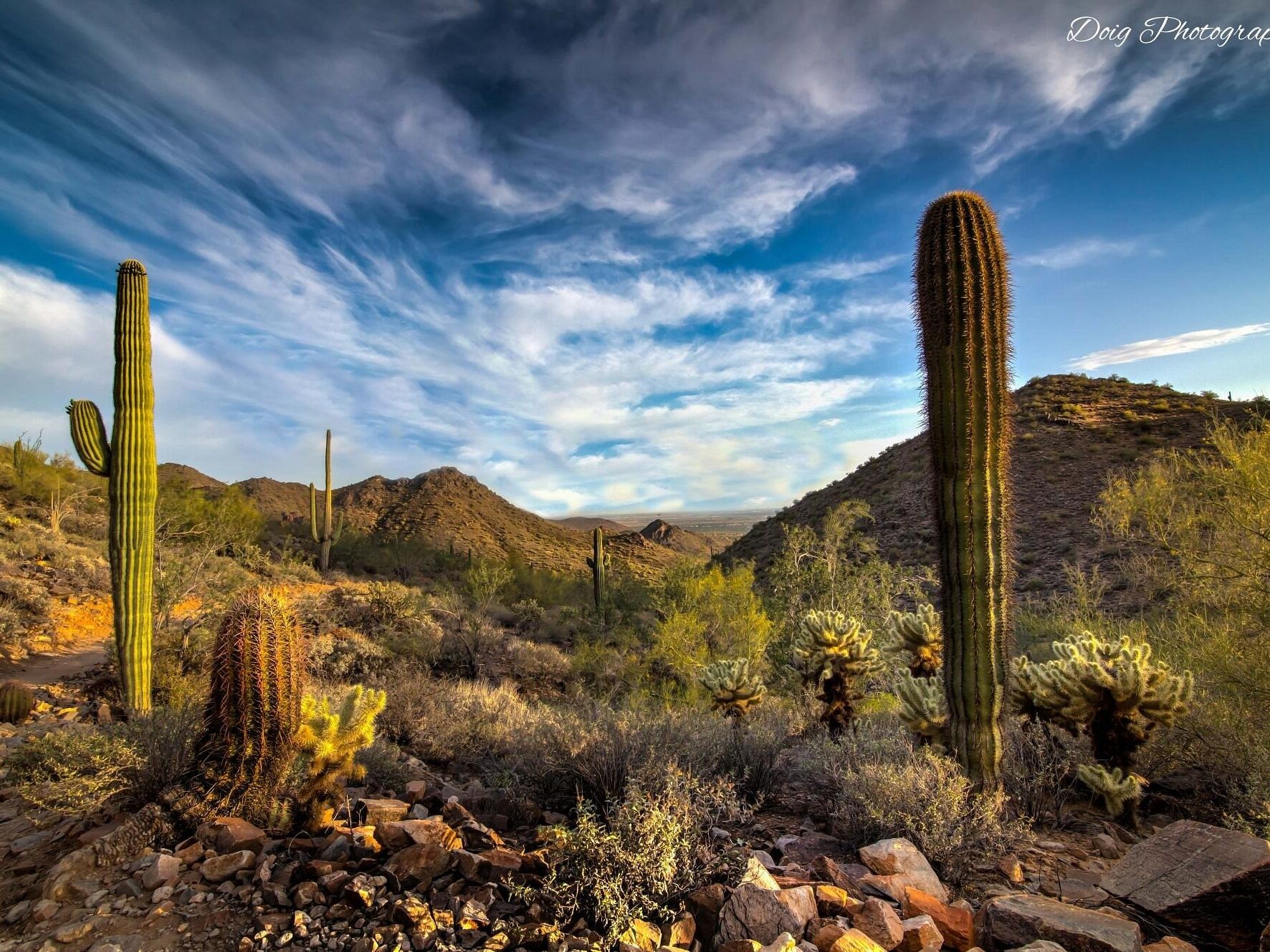 Picture of McDowell Sonoran Preserve