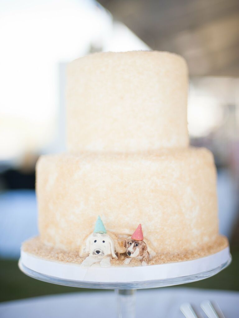 Family dogs with party hats as wedding cake toppers.
