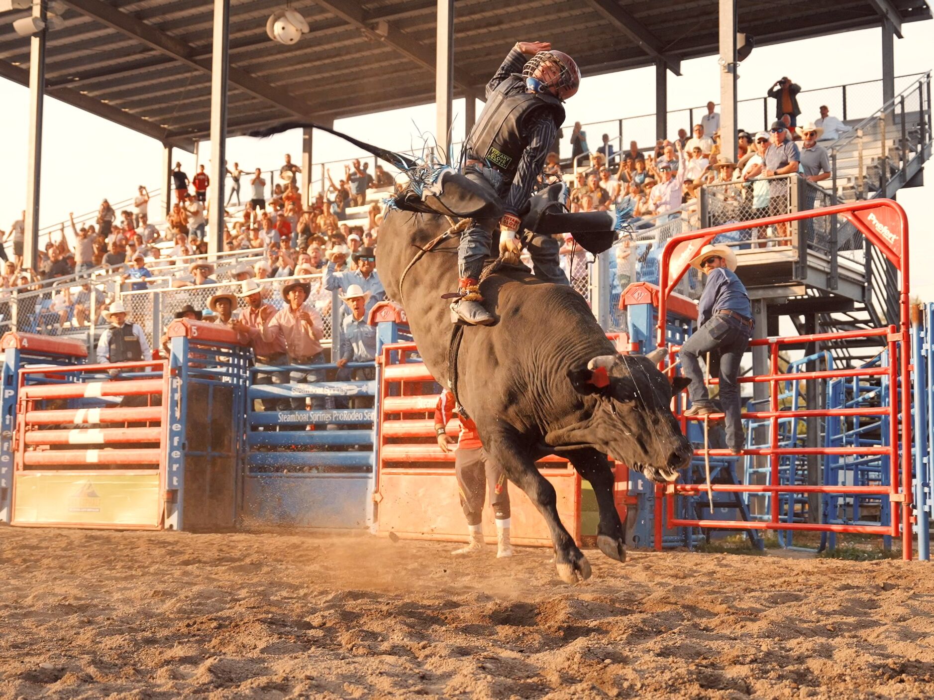 Picture of Steamboat Pro Rodeo