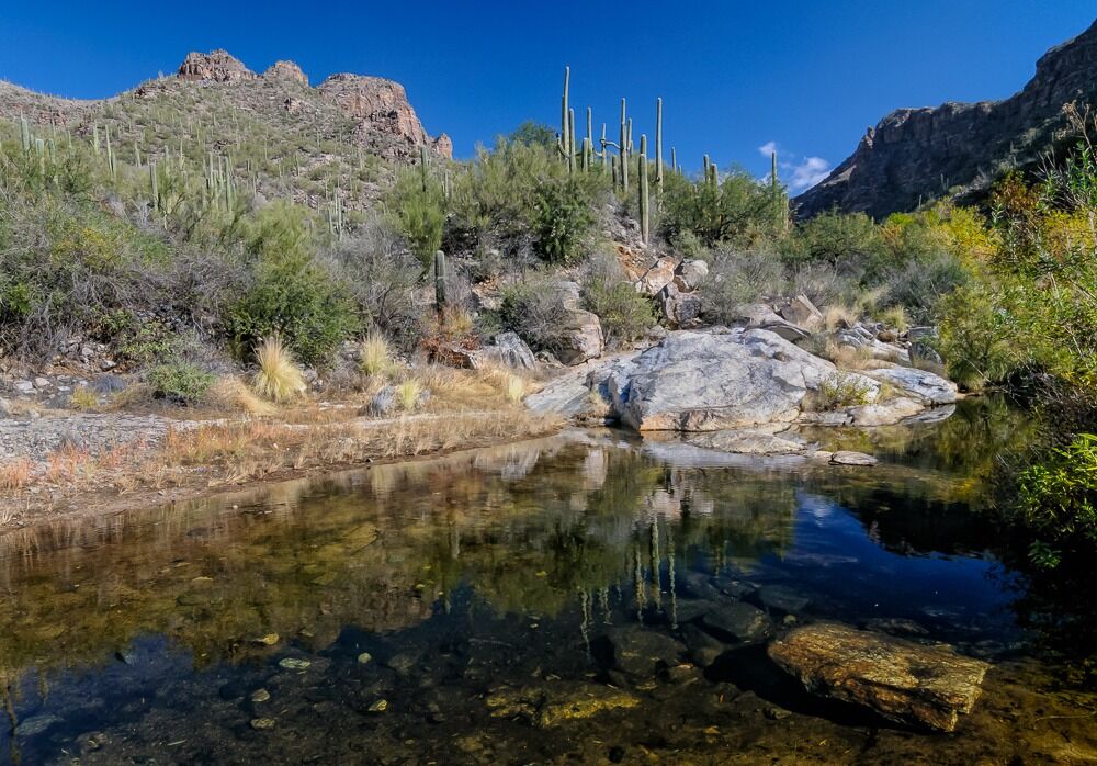 Picture of Sabino Canyon Recreation Area
