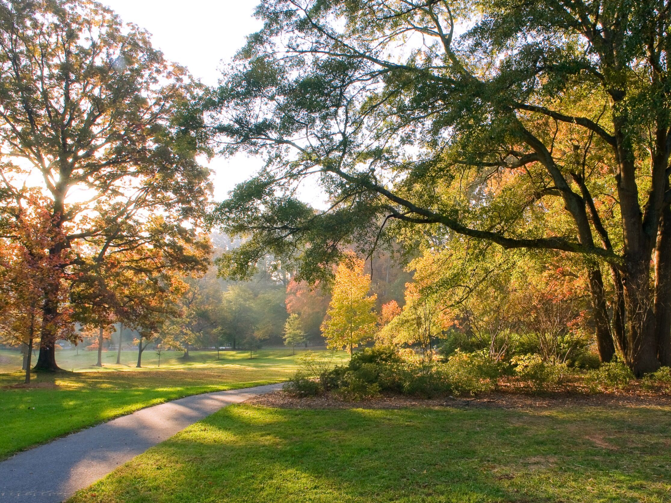 Picture of Olmsted Linear Park