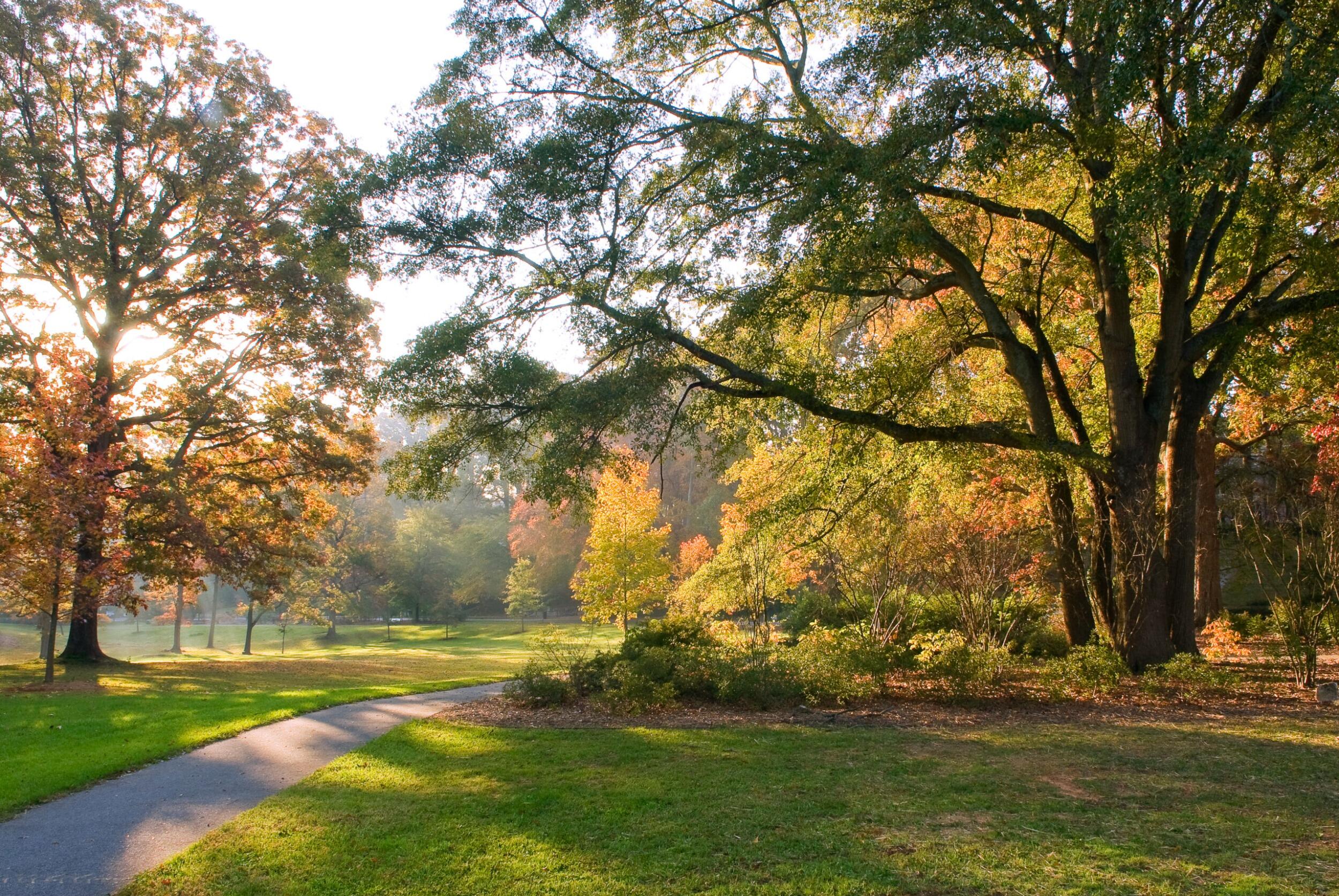 Picture of Olmsted Linear Park