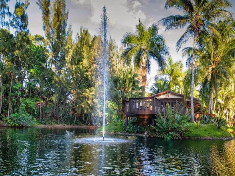 Picture of Pinto's Farm