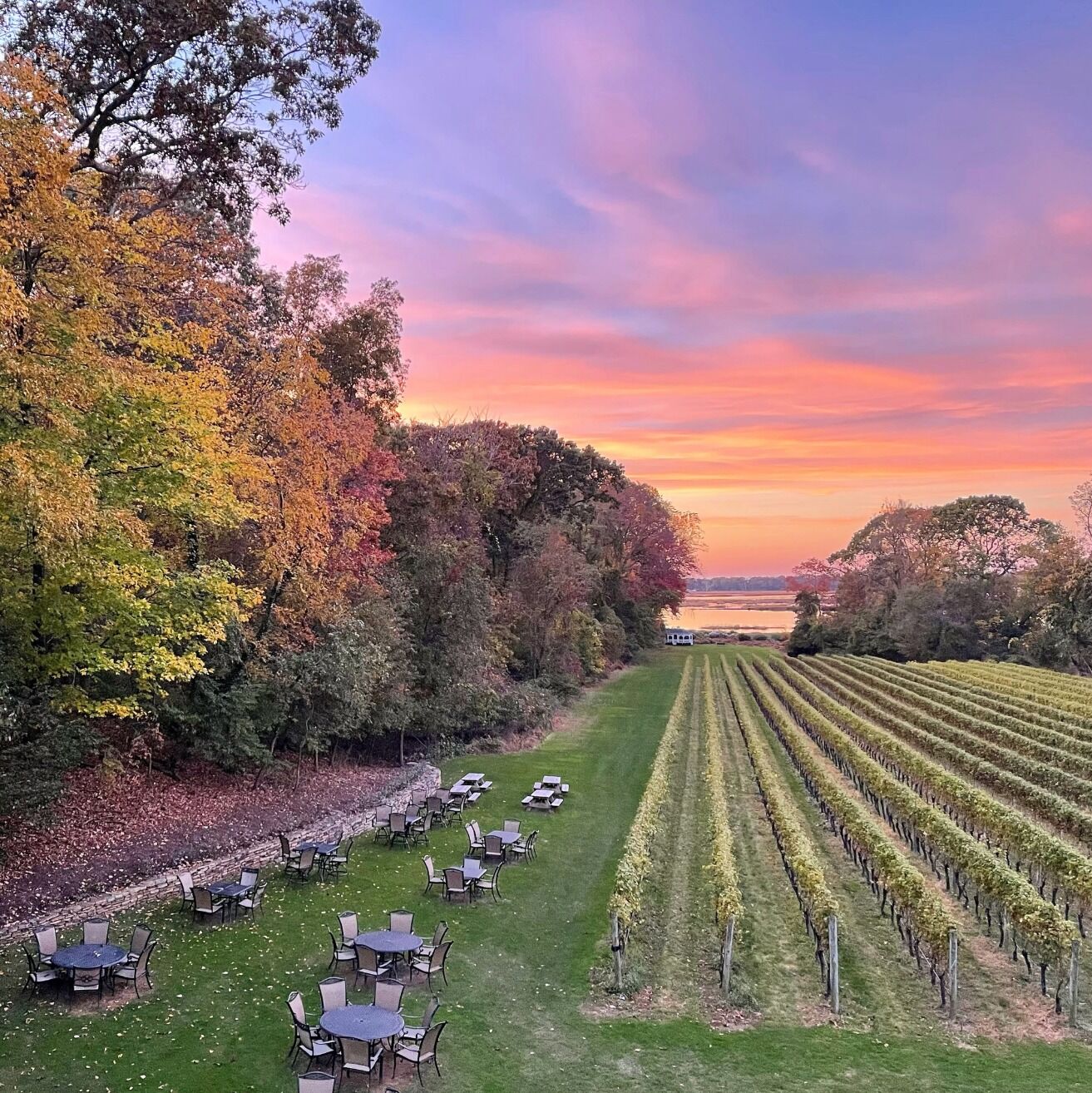 Picture of Harmony Vineyards