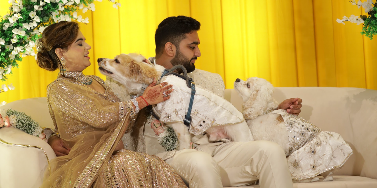 Maitry & Dhananjay Home Page Banner