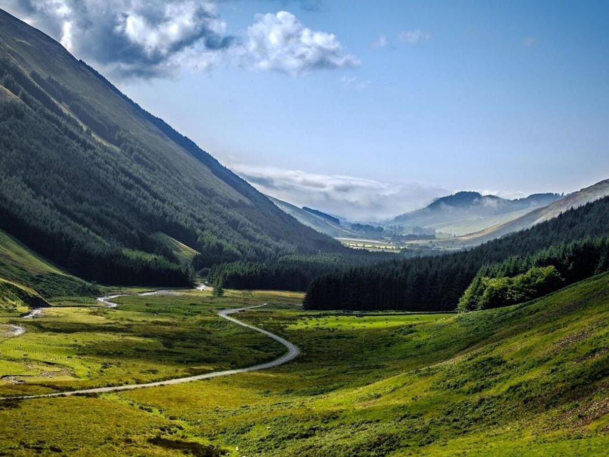 Picture of Grey Mares Tail Nature Reserve