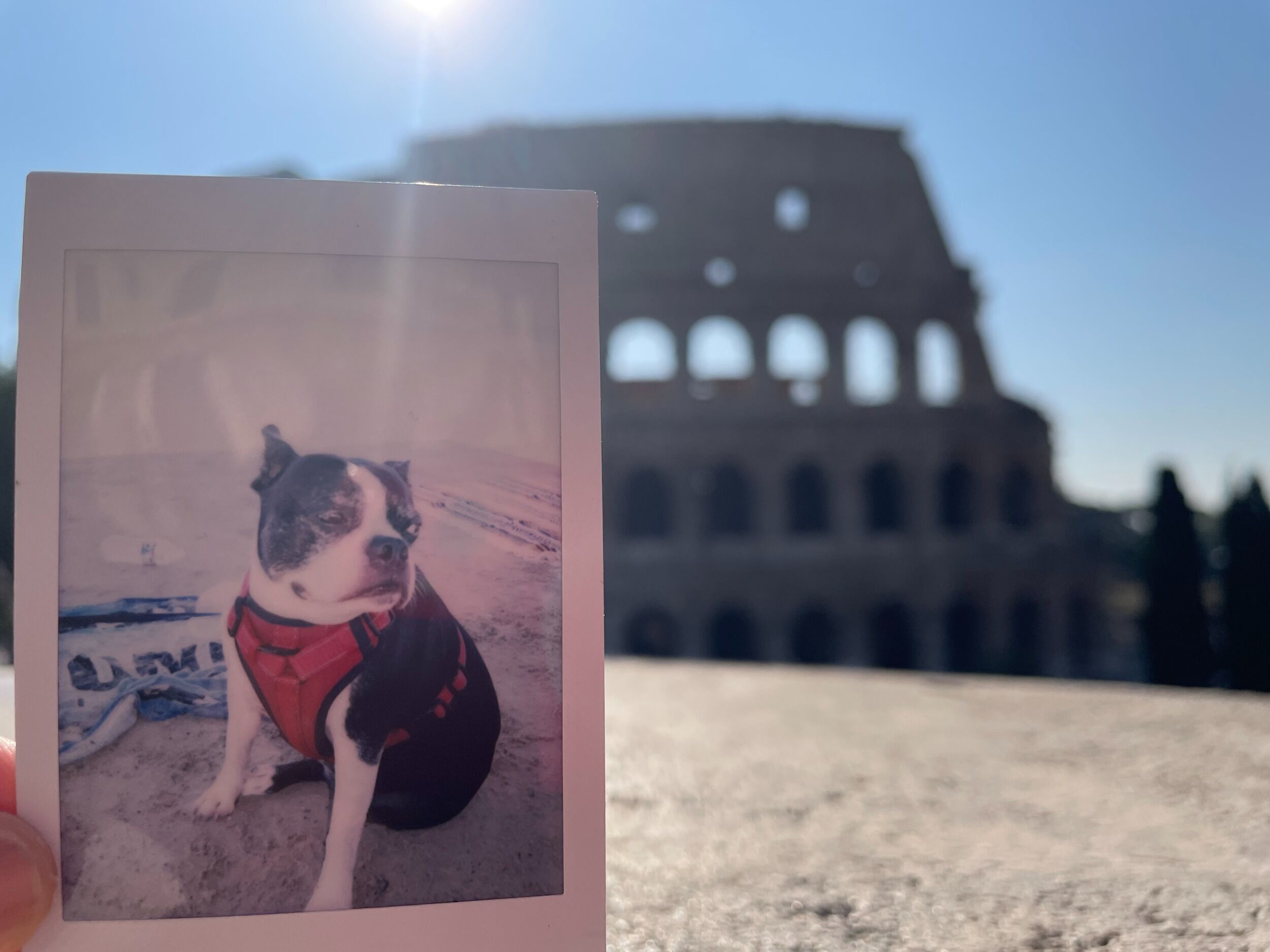 Picture of Europe Trip