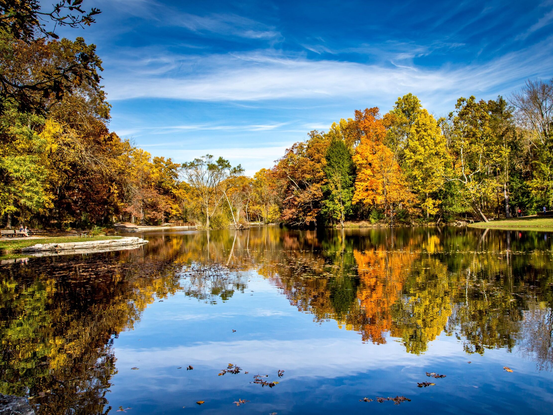 Picture of Oak Openings Preserve Metropark