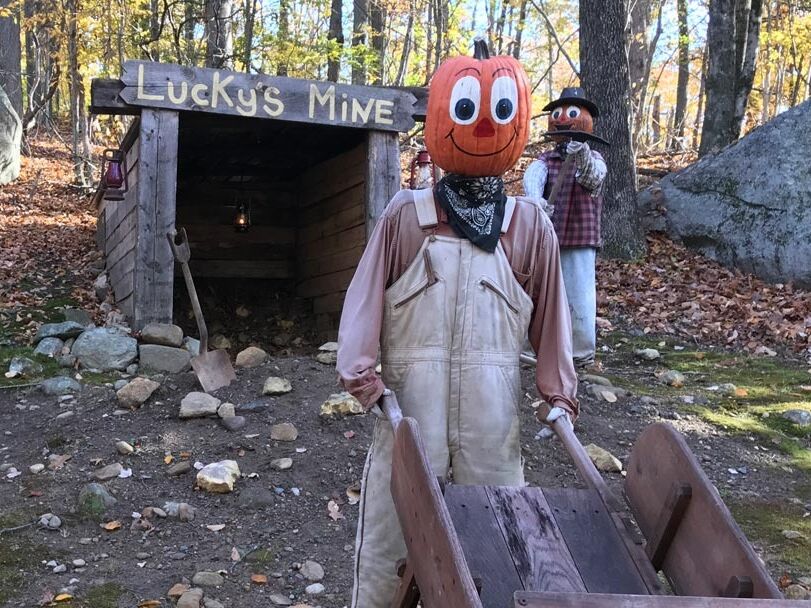 Picture of Pumpkintown USA