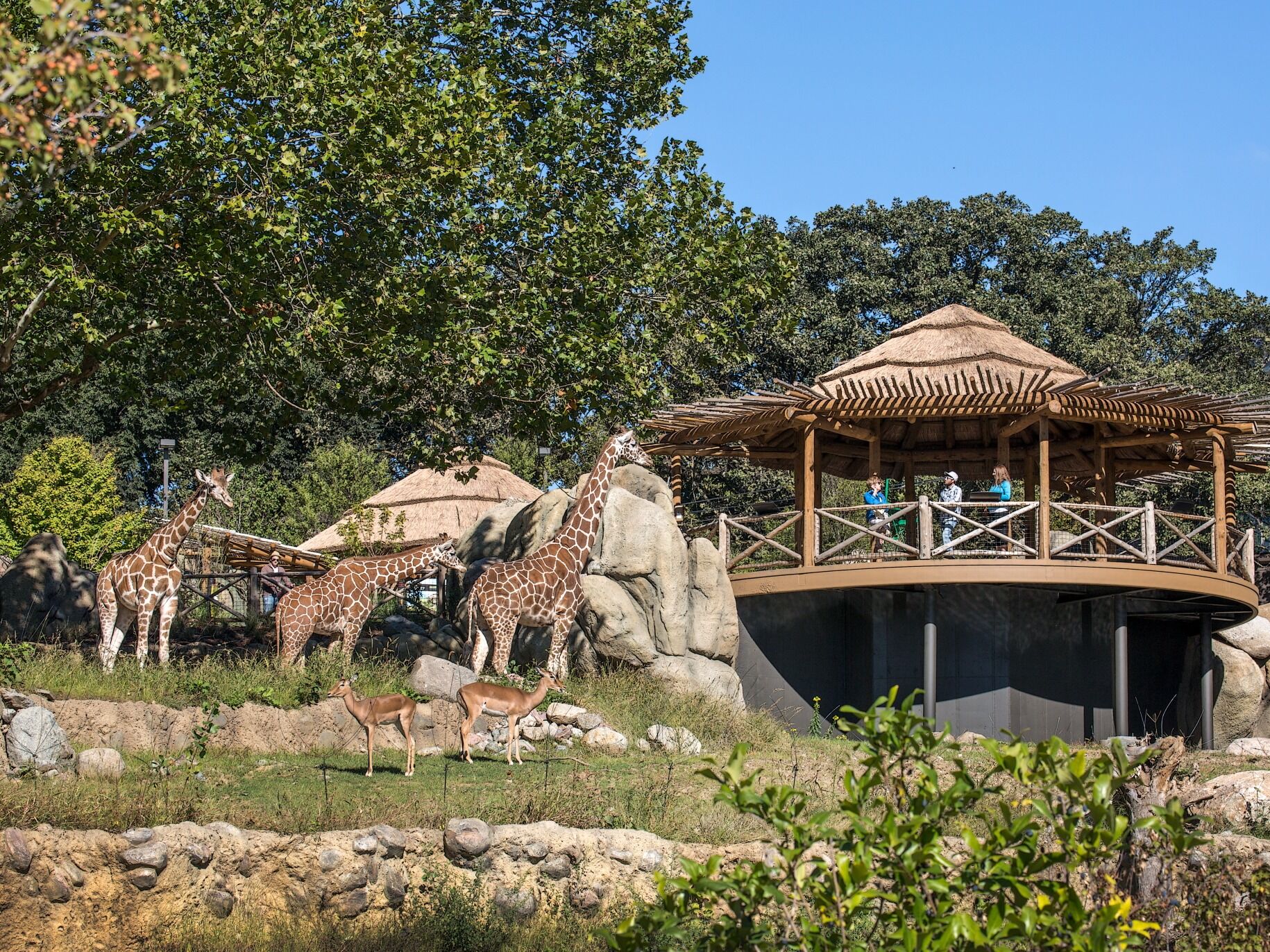 Picture of Omaha's Henry Doorly Zoo and Aquarium