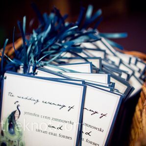 Peacock Feather Programs