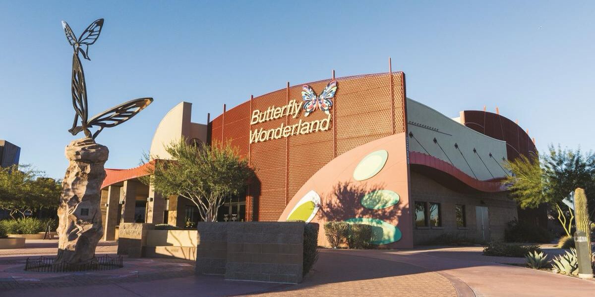Picture of Butterfly Wonderland