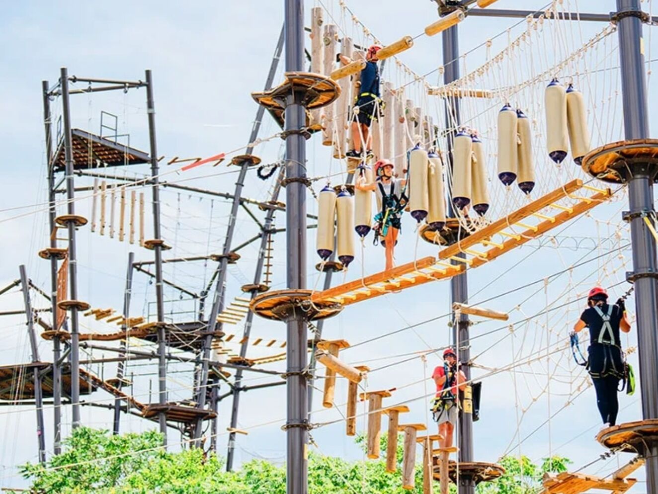 Picture of The Forge Adventure Park & Ziplines
