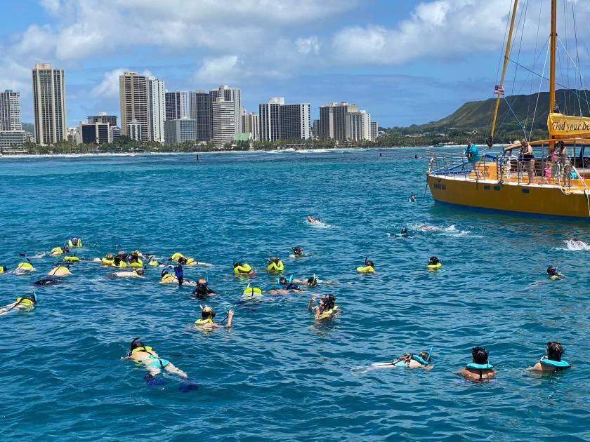 Picture of Snorkeling with Turtles and Fishes
