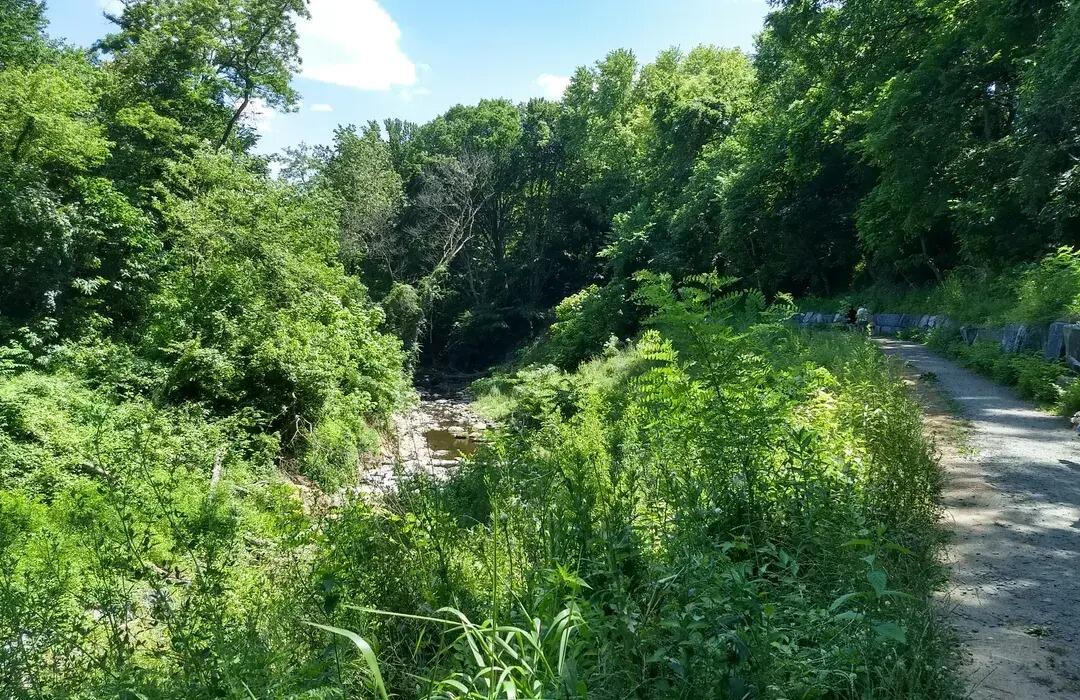 Picture of Stony Run Trail