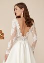 Justin Alexander Dara Ball Gown Wedding Dress - thumbnail - 6
