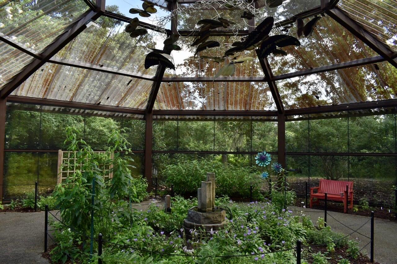 Picture of Butterfly House & Aquarium