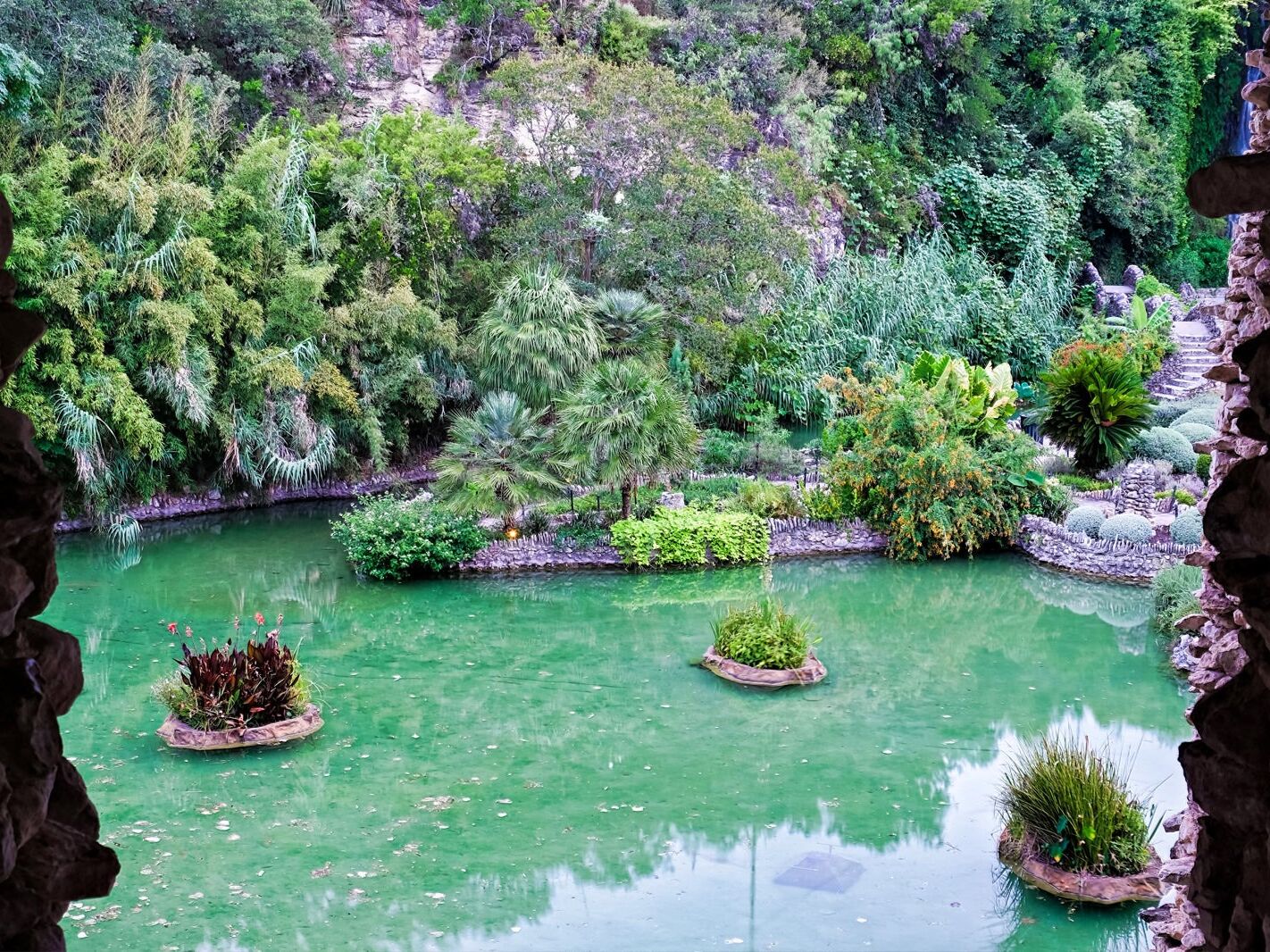 Picture of Japanese Tea Garden