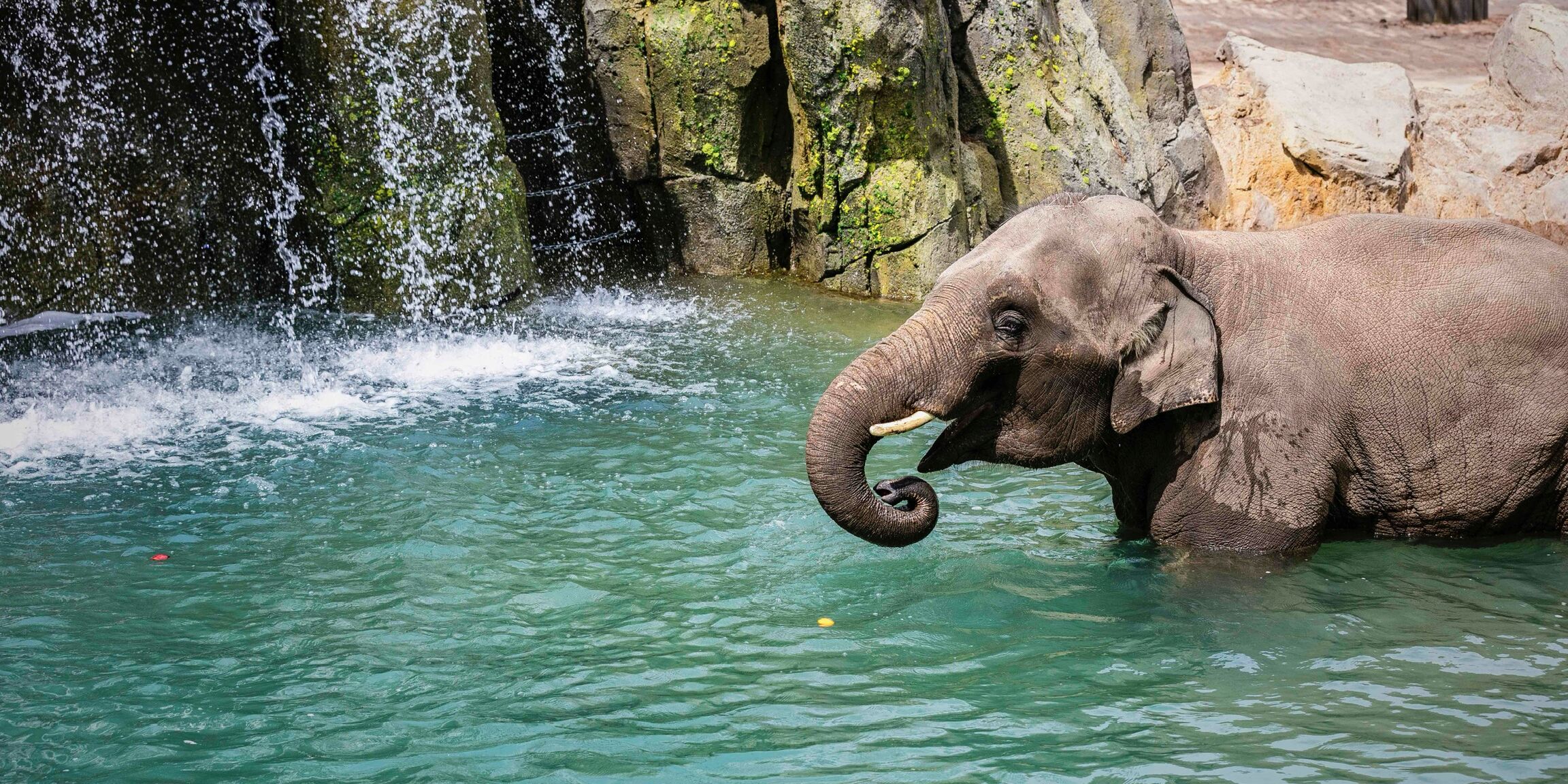 Picture of Fort Worth Zoo