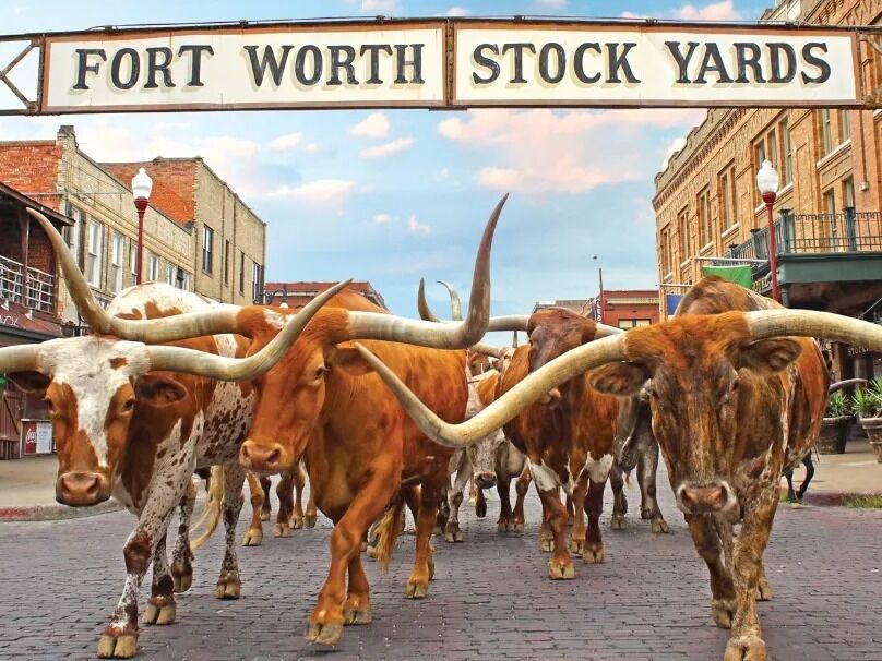 Picture of Fort Worth Stockyards